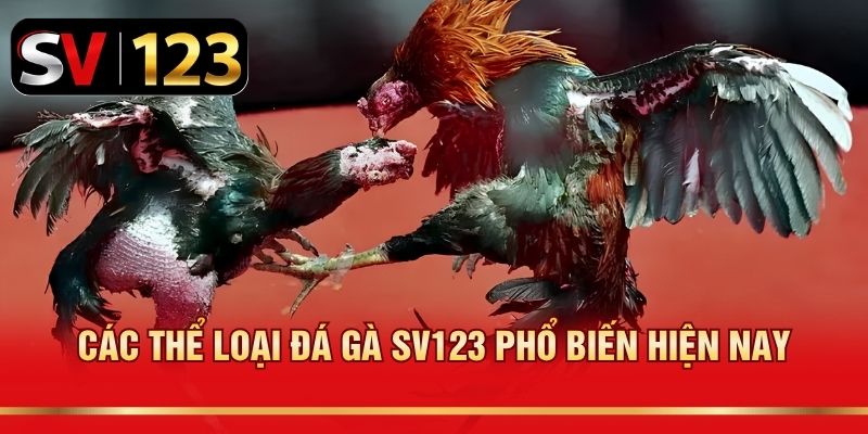 Các thể loại đá gà SV123 phổ biến hiện nay