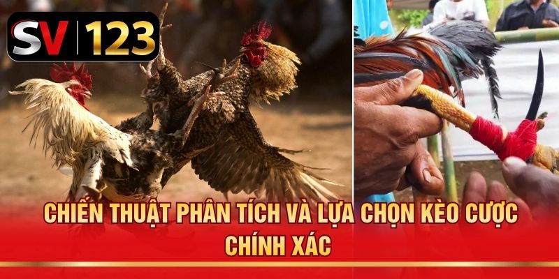 Chiến thuật phân tích và lựa chọn kèo cược chính xác