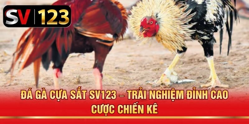 Đá Gà Cựa Sắt SV123 – Trải Nghiệm Đỉnh Cao Cược Chiến Kê