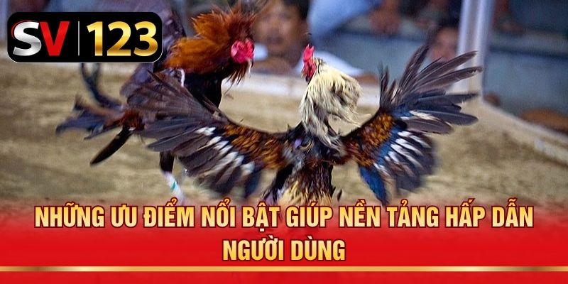Những ưu điểm nổi bật giúp nền tảng hấp dẫn người dùng